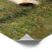 ボブラングリッシュシャンパンカラージプシーヴァンナーランニングズ ポスター (角)