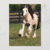 ボブラングリッシュシャンパンカラージプシーヴァンナーランニングズ ポストカード (正面)