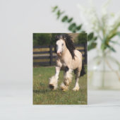 ボブラングリッシュシャンパンカラージプシーヴァンナーランニングズ ポストカード (スタンド正面)