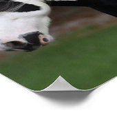 ボブラングリッシュブラックアンドホワイトジプシーヴァンナーヘッドショット ポスター (角)