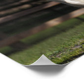 ボブラングリッシュブラックアンドホワイトジプシーヴァンナーランニングズ ポスター (角)