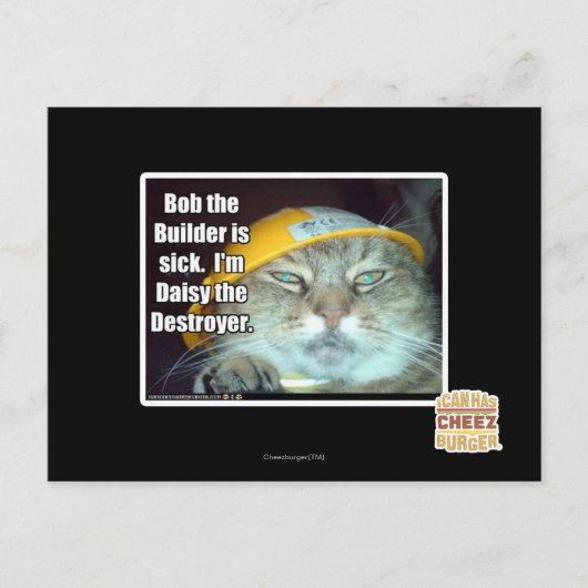 ボブ建築士は病気だ ポストカード (正面)