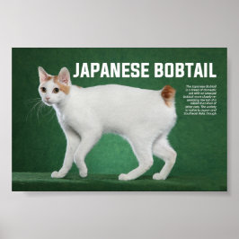 ボブ日本のテール猫種 ポスター
