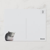 ボブ考えインブラック&ホワイト猫 ポストカード (裏面)