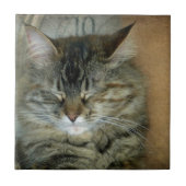 ボブ タイル (正面)