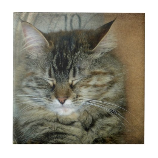 ボブ タイル (正面)