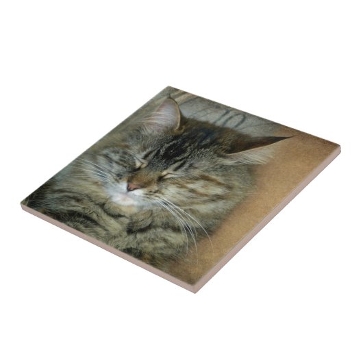 ボブ タイル (側面)