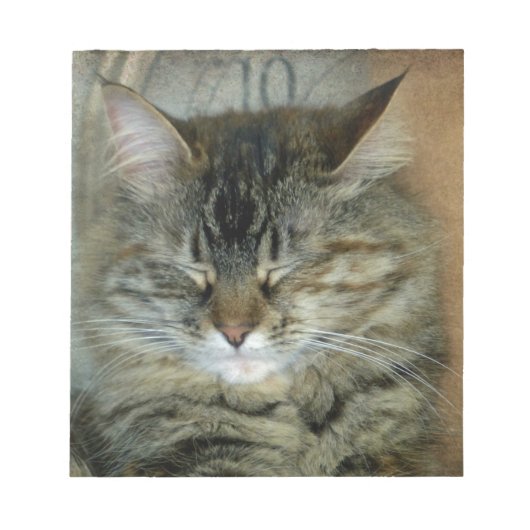 ボブ ノートパッド (正面)