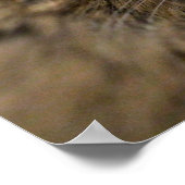 ボブ・ポスターの上を移動 ポスター (角)