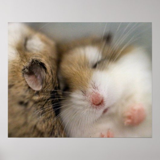 ボブ・ポスターの上を移動 ポスター (正面)