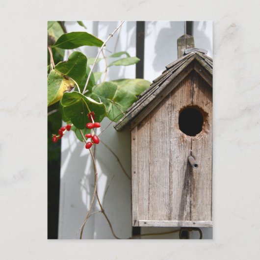 ボブ ポストカード (正面)