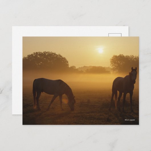 ボブ・ラングリシュ2人のアラブ人が日の出に霧の中に立って ポストカード (正面/裏面)