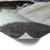 ボブ・ラングリシュ・ラマとアンダルシアの会議本部 ポスター (角)