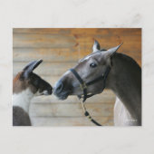 ボブ・ラングリシュ・ラマとアンダルシアの会議本部 ポストカード (正面)