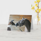 ボブ・ラングリシュ・ラマ・アンダルシアン・ミーティング・ヘッドショット カード (黄色い花)