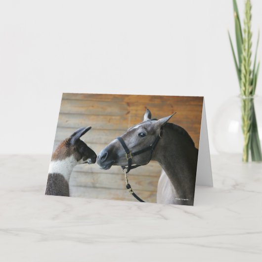 ボブ・ラングリシュ・ラマ・アンダルシアン・ミーティング・ヘッドショット カード (正面)