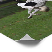 ボブ・ラングリッシュ・ジプシー・ヴァンナーと犬ランニングのの共演 ポスター (角)