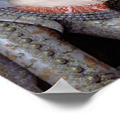 ボヘミアの冬の女王エリザベス ポスター (角)