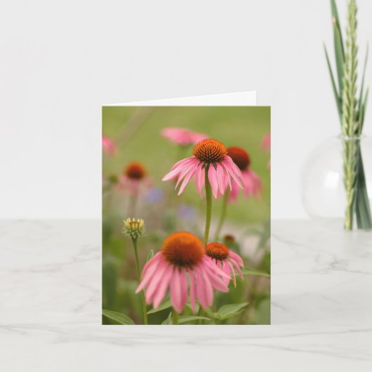 ボヘミアの夏 カード (正面)