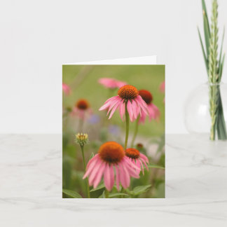 ボヘミアの夏 カード