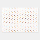 ボヘミアンテラコッタレインボー1st誕生日 ラッピングペーパーシート (正面2)