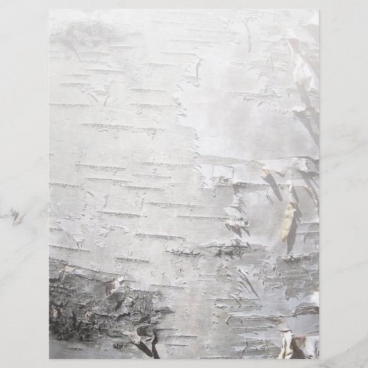 ボヘミアン素朴な田舎のシックな木の樹皮ホワイト樺の木 (正面)