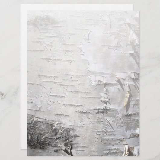 ボヘミアン素朴な田舎のシックな木の樹皮ホワイト樺の木 (正面/裏面)