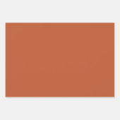 ボヘミアン・ブラウンズ ラッピングペーパーシート (正面3)