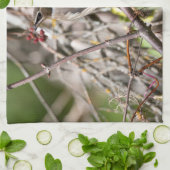 ボヘミアン・ワクウィング、枝に休む キッチンタオル (折り畳み)