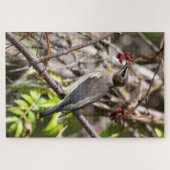 ボヘミアン・ワクウィング、枝に休む ジグソーパズル (横)