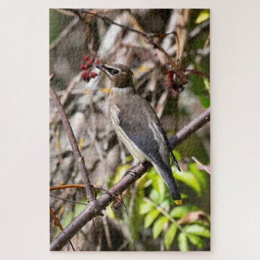 ボヘミアン・ワクウィング、枝に休む ジグソーパズル (縦)