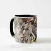 ボヘミアン・ワクウィング、枝に休む マグカップ (正面左)