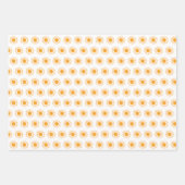 ボヘミア砂漠の虹と太陽のパターン ラッピングペーパーシート (正面2)