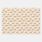 ボヘミア砂漠の虹と太陽のパターン ラッピングペーパーシート (正面)