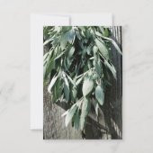 ボホの植物性葉ハーブの素朴な納木スクリプト 招待状 (裏面)