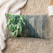 ボホの植物性葉ハーブズラスティックバーンウッド ランバークッション (ブランケット)