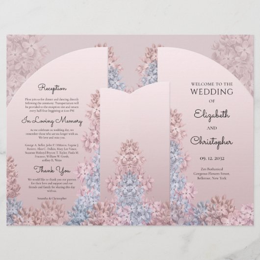 ボホアーチ春の花ほこりっぽいピンクのヒヤシンス (正面)