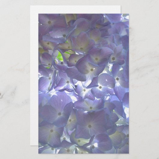 ボホエレガントほこりっぽい薄紫の花模様花 便箋 (正面/裏面)