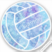 ボホガーリーペイズリードードルブルーバレーボール シール (正面)