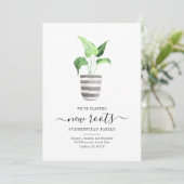 ボホシックニュールーツ引っ越しました植物移動 (スタンド正面)