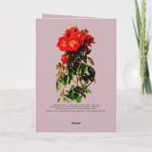 ボホシックハッピーバースデーレッドローゼブーケマウヴ カード (裏面)