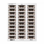 ボホスターリーナイトトリプルムーン差出人住所 ラベル (フルシート)