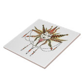 ボホソレイユ タイル (側面)