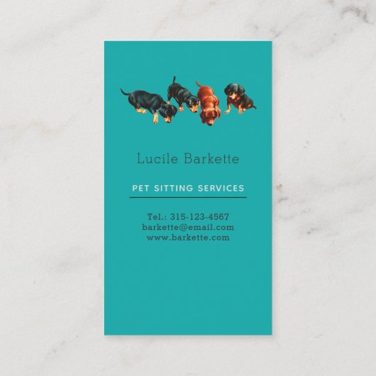 ボホダッチシュンドペットシビングワイルドフラワーズティール(緑がかった色)ブルー 名刺 (裏面)