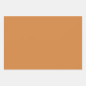 ボホパステルテラコッタピンクシーシェルラッピング ラッピングペーパーシート (正面3)