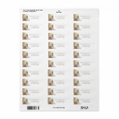 ボホパンパスグラス水彩色結婚住所 シール (フルシート)