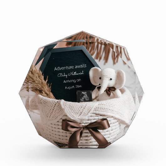 ボホパンパスニュートラル妊娠の発表 フォトブロック (正面)