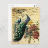 ボホフローラフランスの国モダンヴィンテージ孔雀 ポストカード (正面/裏面)