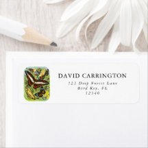 ボホヴィンテージカラフル蝶コレクション