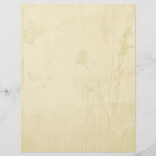 ボホ紙レターヘッド レターヘッド (正面)